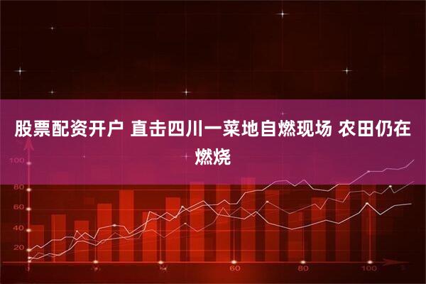 股票配资开户 直击四川一菜地自燃现场 农田仍在燃烧