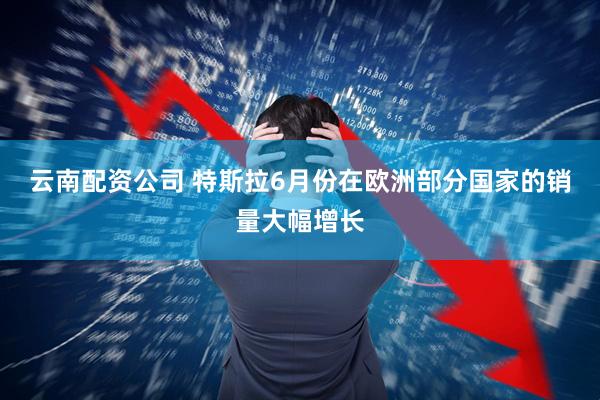 云南配资公司 特斯拉6月份在欧洲部分国家的销量大幅增长
