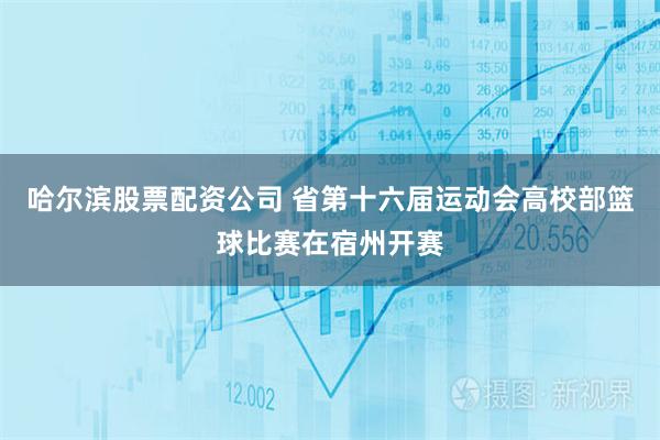 哈尔滨股票配资公司 省第十六届运动会高校部篮球比赛在宿州开赛