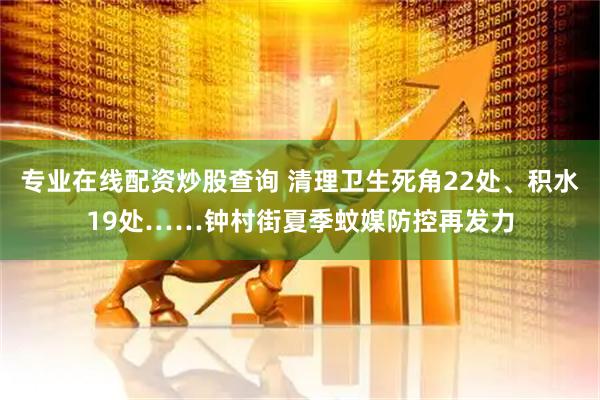 专业在线配资炒股查询 清理卫生死角22处、积水19处……钟村街夏季蚊媒防控再发力